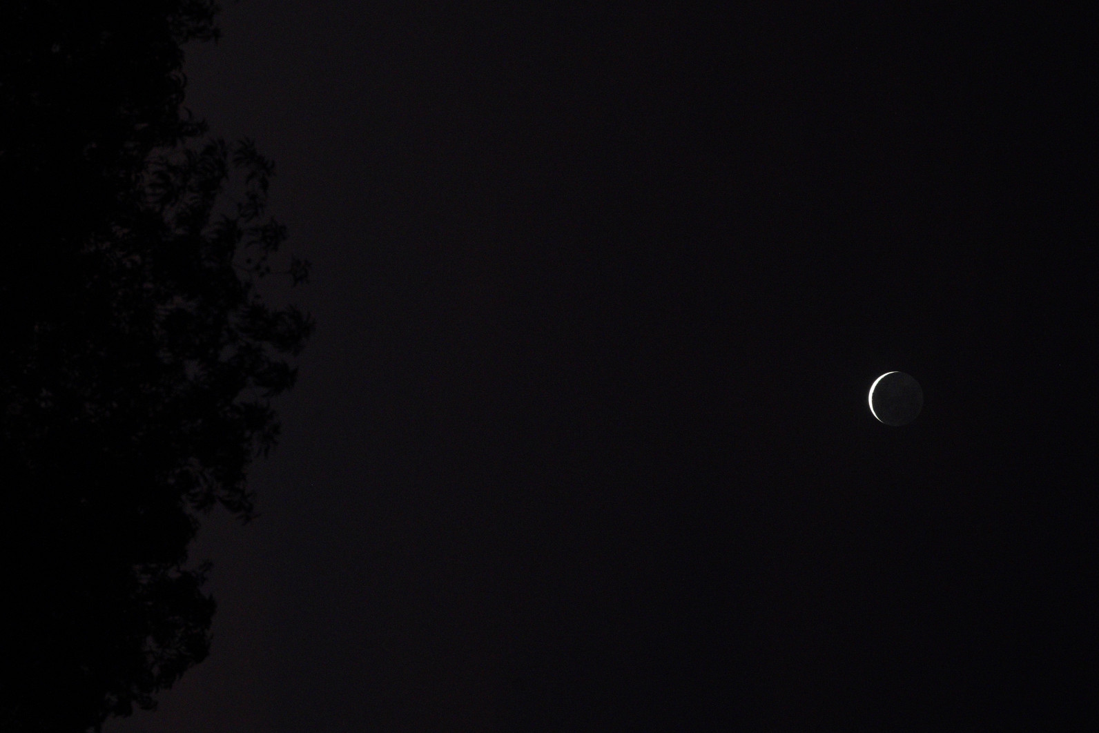 1/50 s, f/8, ISO 12800, 180 mm