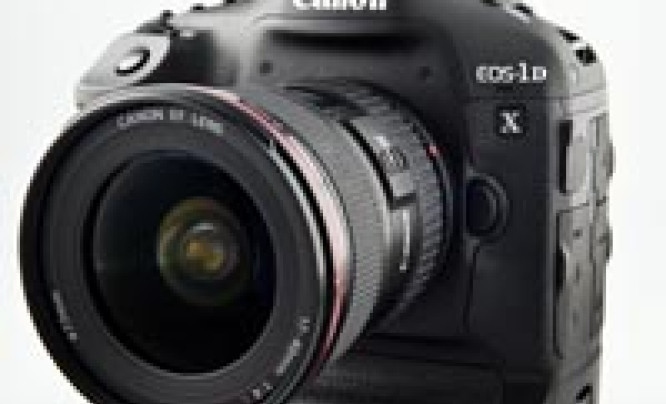 Canon EOS-1D X - pierwsze wrażenia i zdjęcia przykładowe