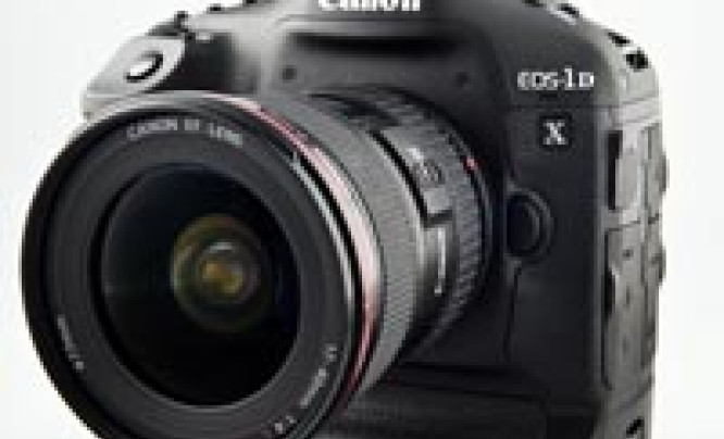  Canon EOS-1D X - pierwsze wrażenia i zdjęcia przykładowe