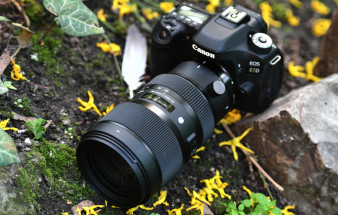 Sigma 50-100 mm f/1.8 DC HSM ART - zdjęcia przykładowe