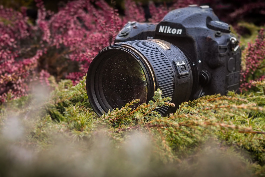 Nikon AF-S Nikkor 105 mm f/1.4E ED - test obiektywu