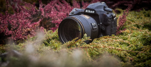 Nikon AF-S Nikkor 105 mm f/1.4E ED - test obiektywu