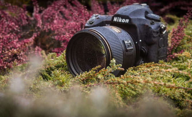 Nikon AF-S Nikkor 105 mm f/1.4E ED - test obiektywu