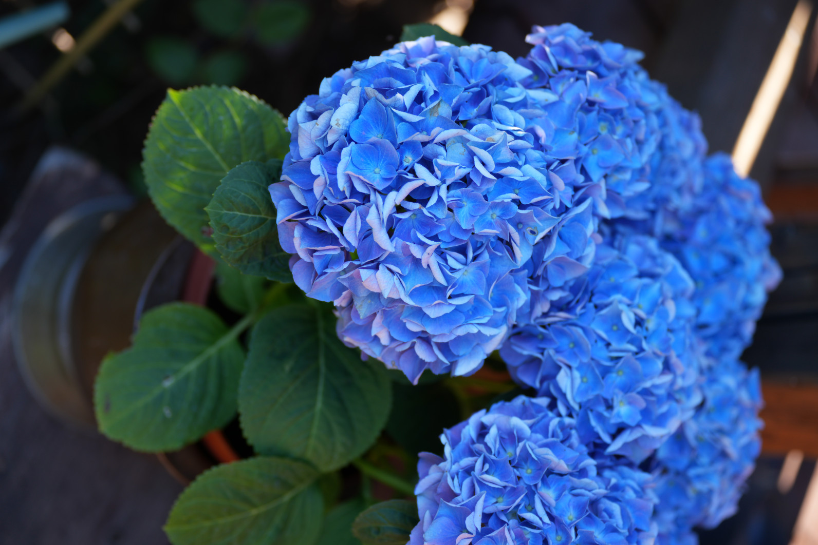 1/125 s, f/2.8, ISO 125, 60.0 mm