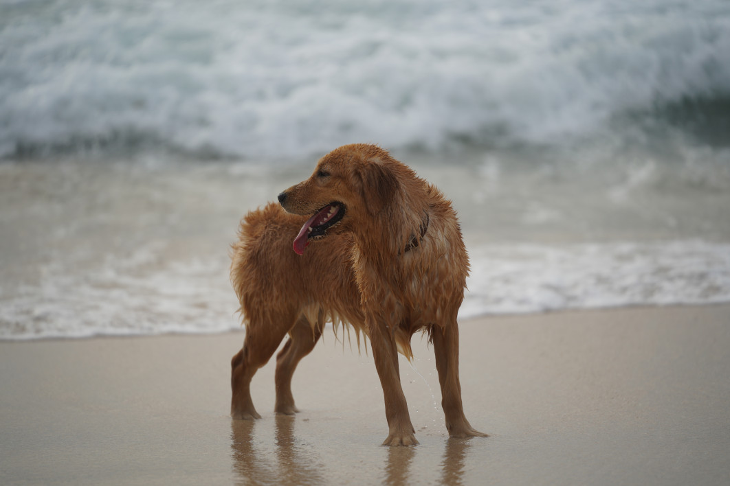 1/1250 s, f/2.8, ISO 100, 180 mm