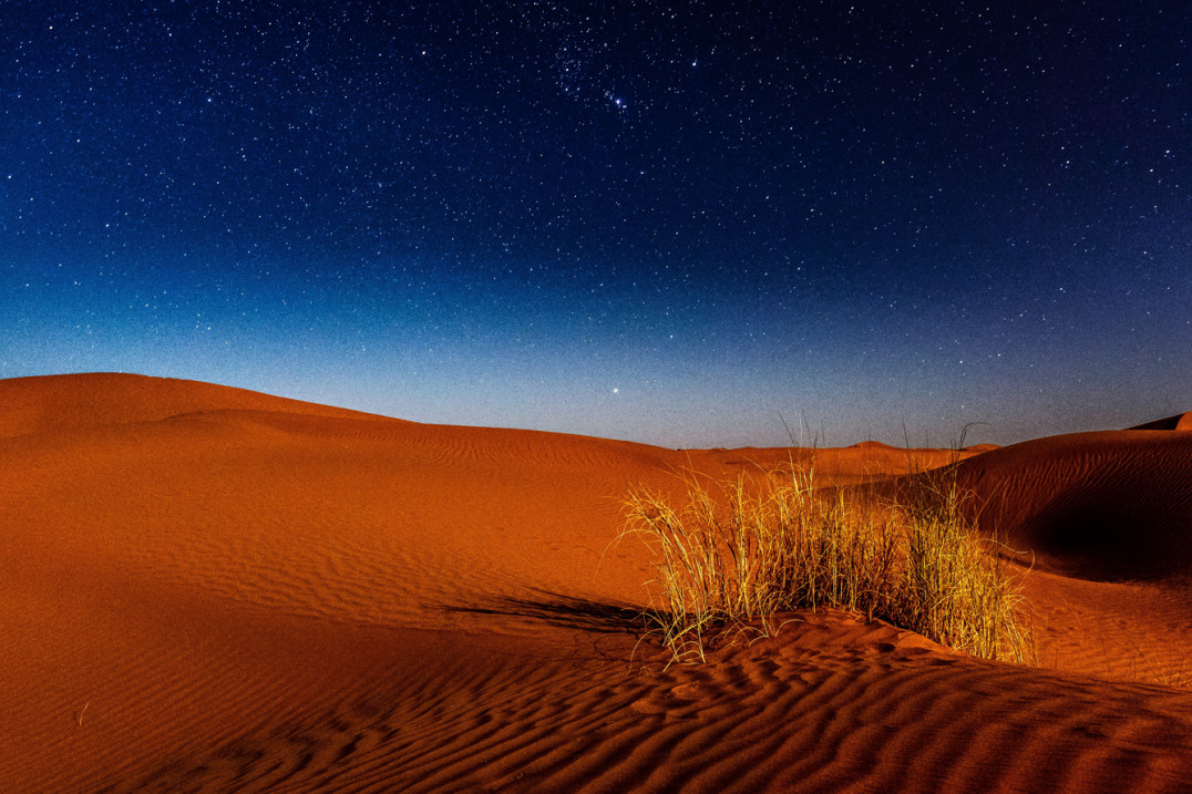 Zobacz jak sprawnie ujednolicić tony i kolory na podobnych zdjęciach w Photoshopie