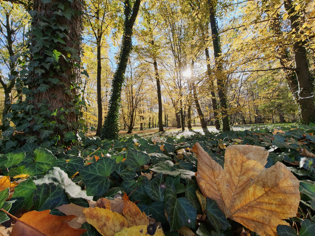 1/131 s, f/2, ISO 50, 2.3 mm