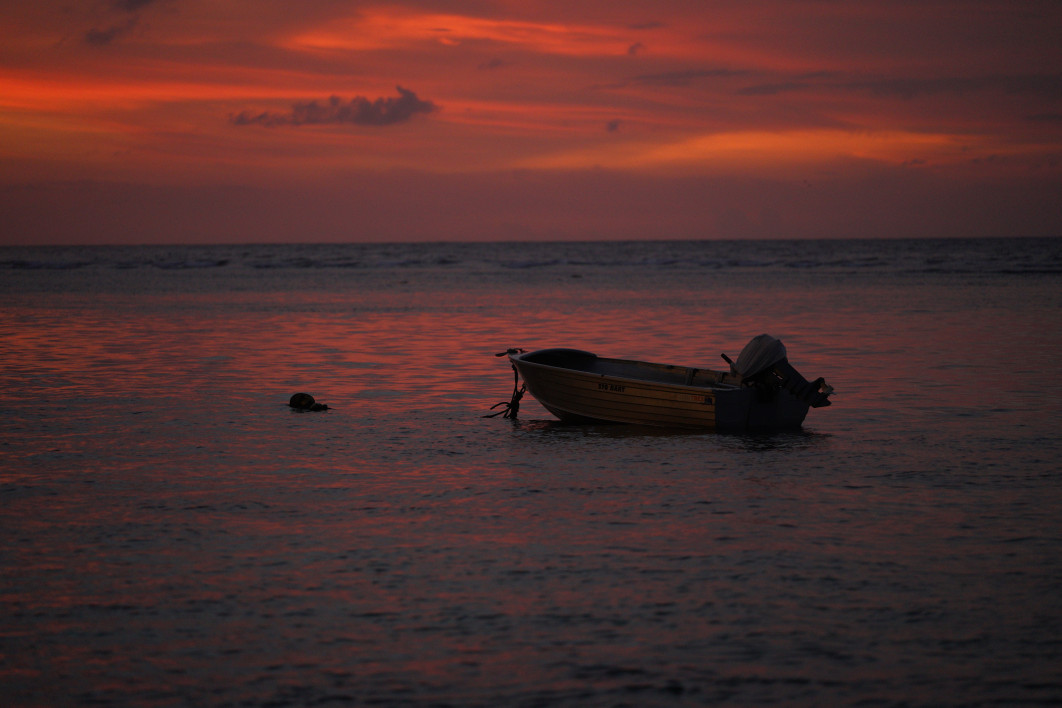 1/160 s, f/2.8, ISO 2000, 133 mm
