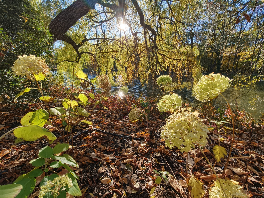 1/200 s, f/2, ISO 125, 2.3 mm