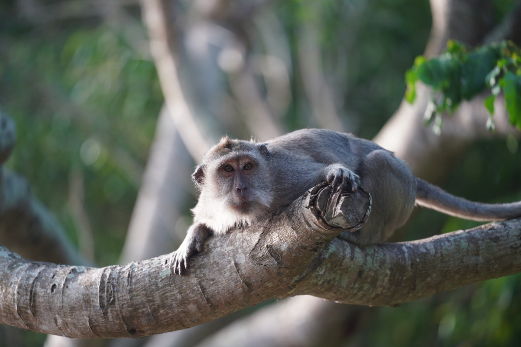 1/200 s, f/2.8, ISO 250, 180 mm