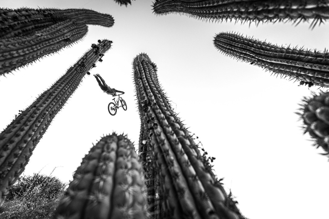 Fot. Gonzalo Robert Parraguez / The Illume 2026