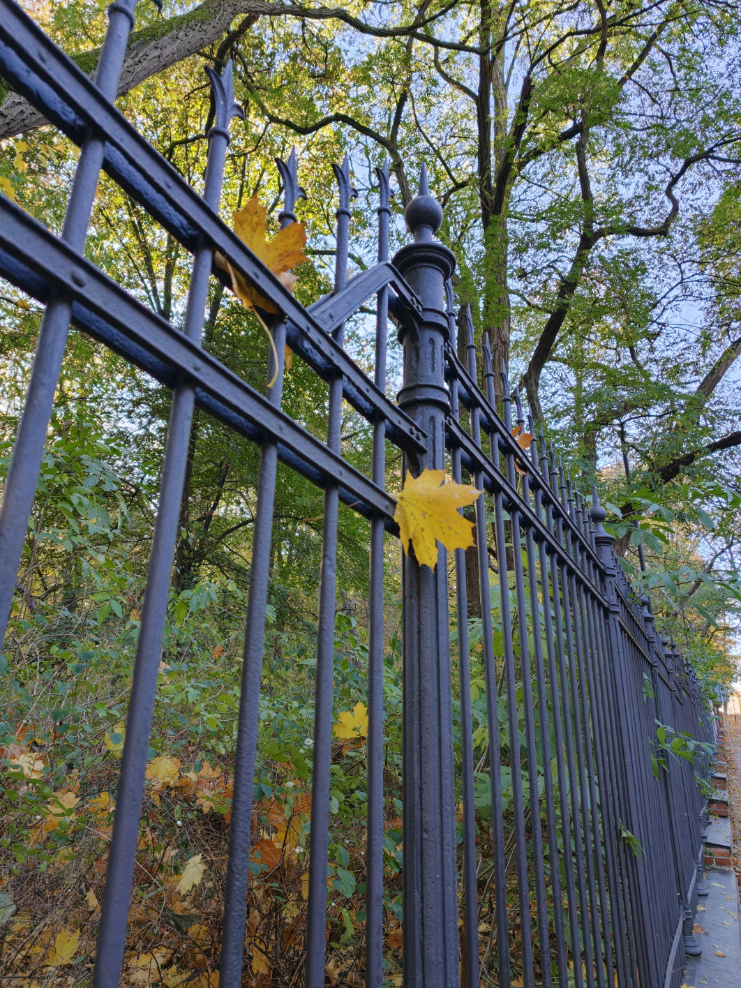 1/1013 s, f/1.5, ISO 160, 6.8 mm