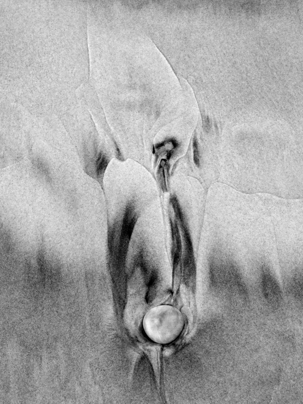 Fot. Jan Adam Leś, wyróżnienie  / Fine Art Photography Awards 2026