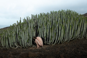 Polacy w finale Siena Creative Photo Awards 2024