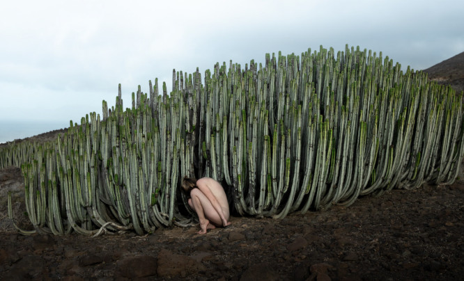 Polacy w finale Siena Creative Photo Awards 2024