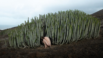 Polacy w finale Siena Creative Photo Awards 2024