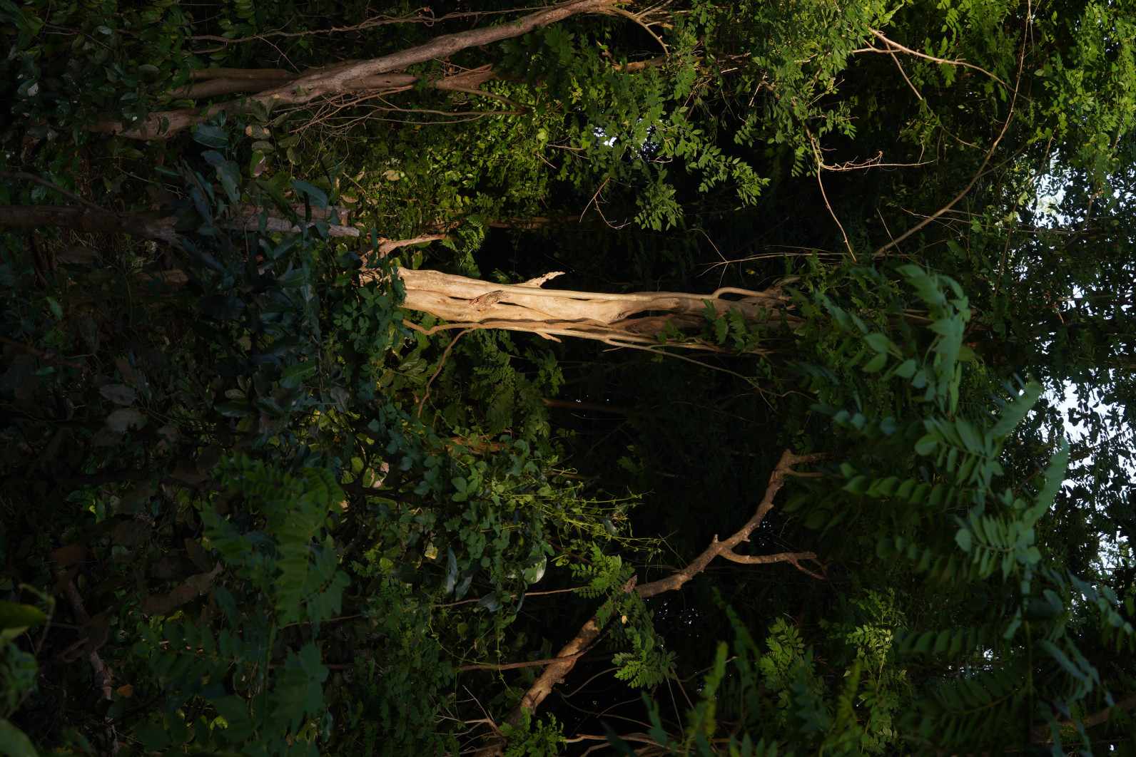 1/80 s, f/9, ISO 320, 70 mm