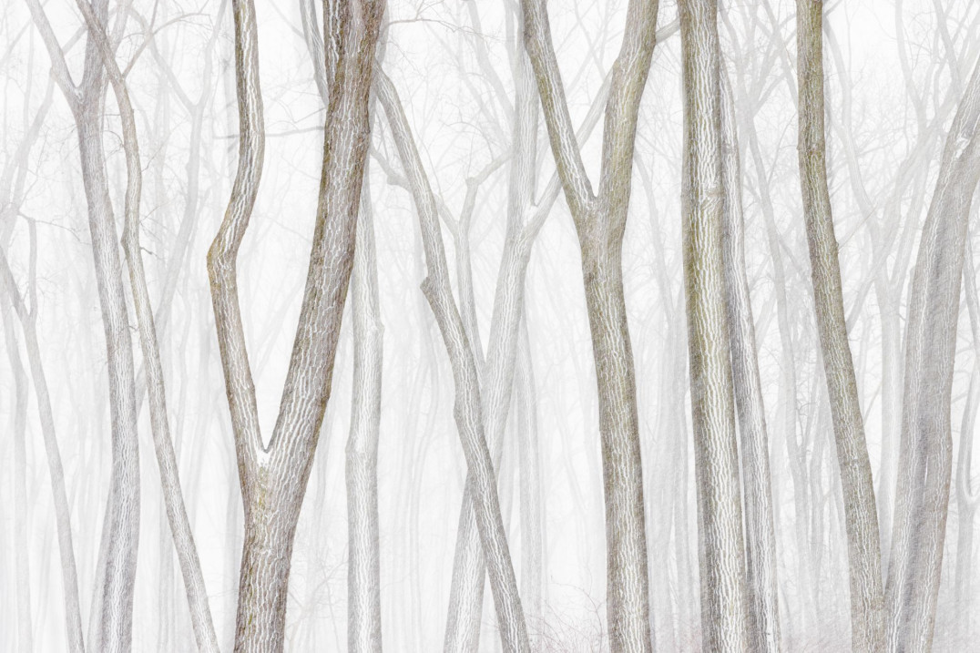 International Landscape Photographer of the Year 2024 rozstrzygnięty. Oto najlepsze zdjęcia krajobrazowe!