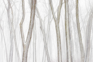 International Landscape Photographer of the Year 2024 rozstrzygnięty. Oto najlepsze zdjęcia krajobrazowe!