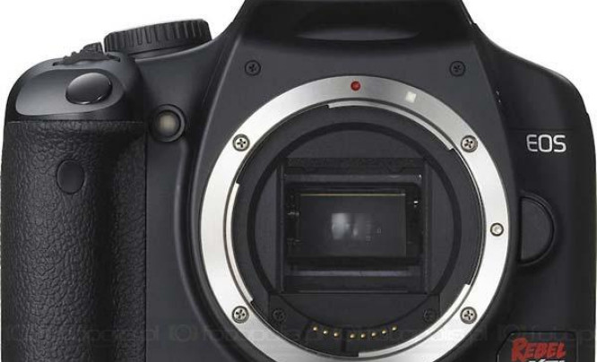 Canon EOS 450D - skok do przodu