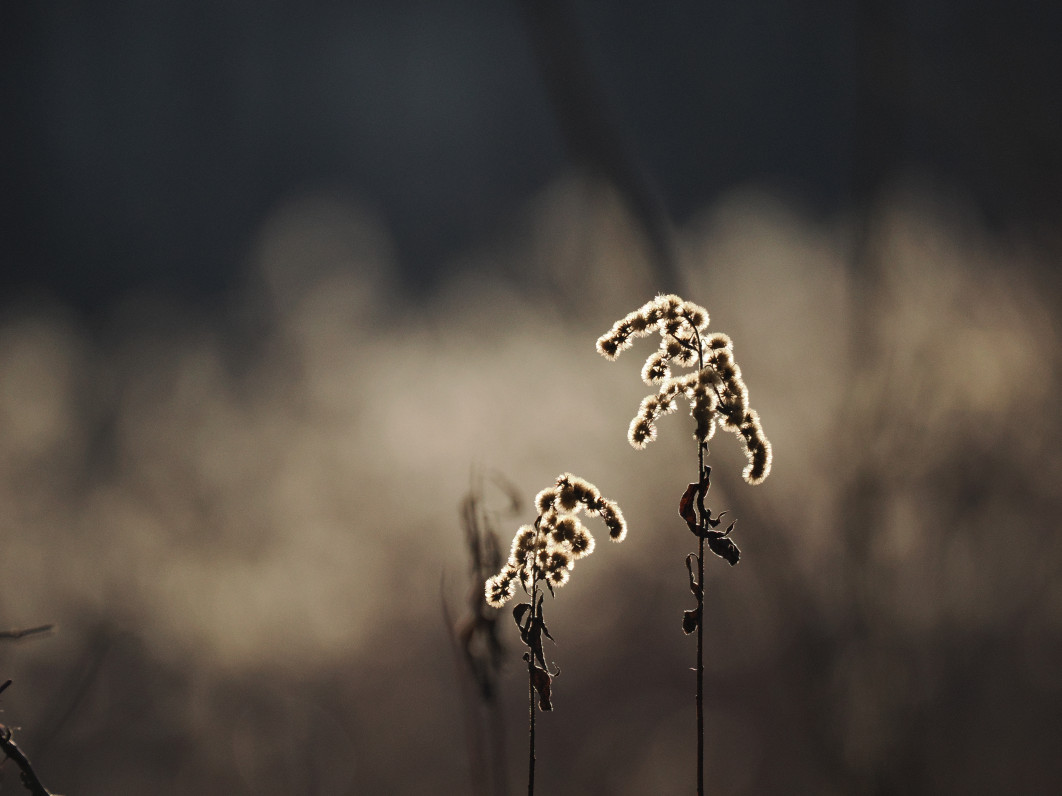 1/4000 s, f/6.3, ISO 1600, 400.0 mm