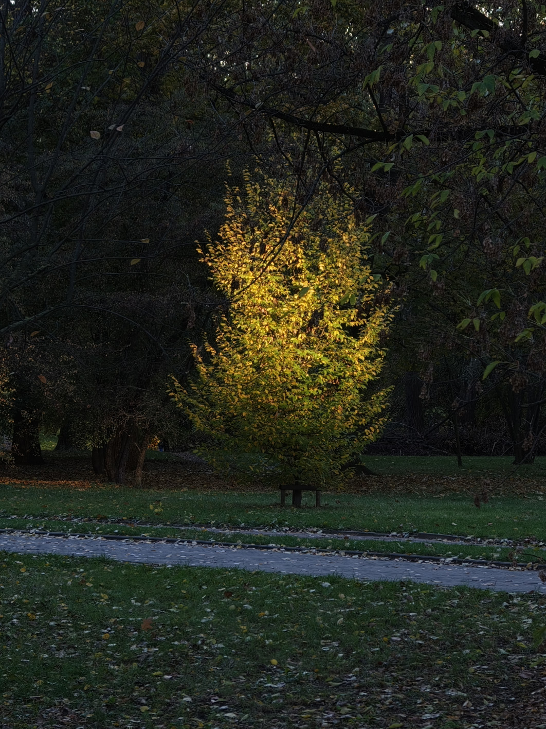 1/200 s, f/2.1, ISO 160, 16.5 mm