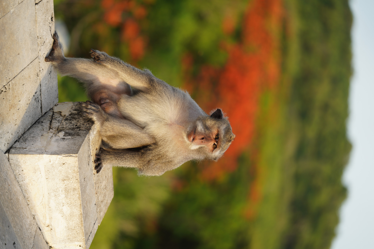 1/250 s, f/2.8, ISO 100, 119 mm
