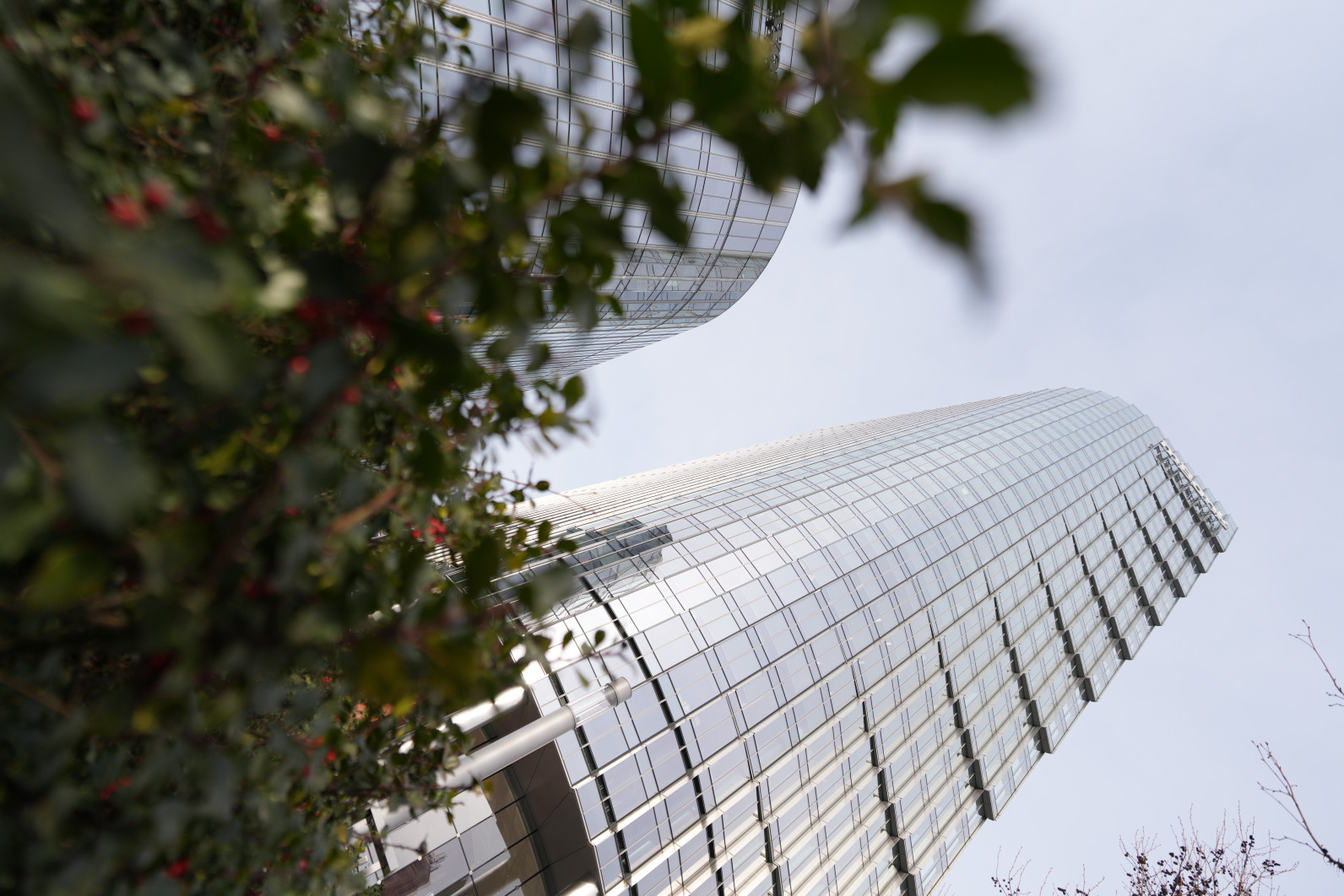 1/2000 s, f/1.8, ISO 100, 16.0 mm