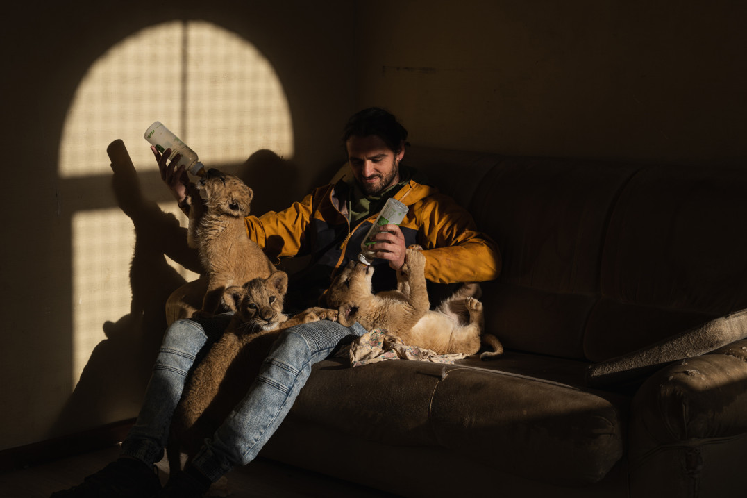 Michał Siarek: Inne opowiadanie o fotografii dzikiej przyrody jest możliwe [WYWIAD]