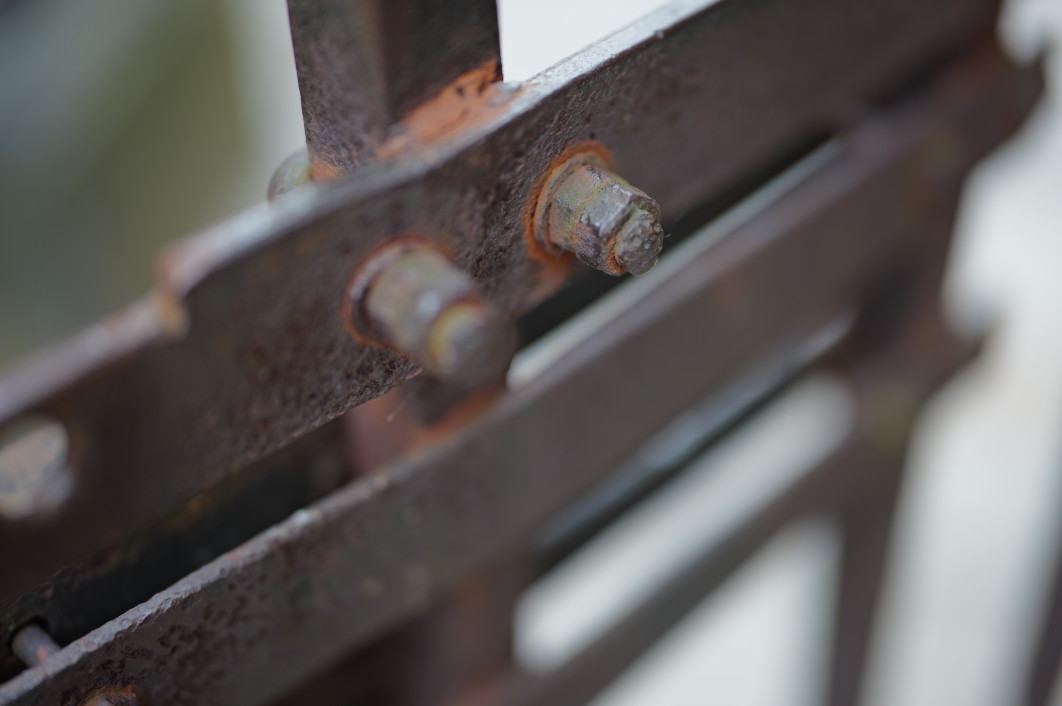 1/100 s, f/1.2, ISO 100, 50.0 mm