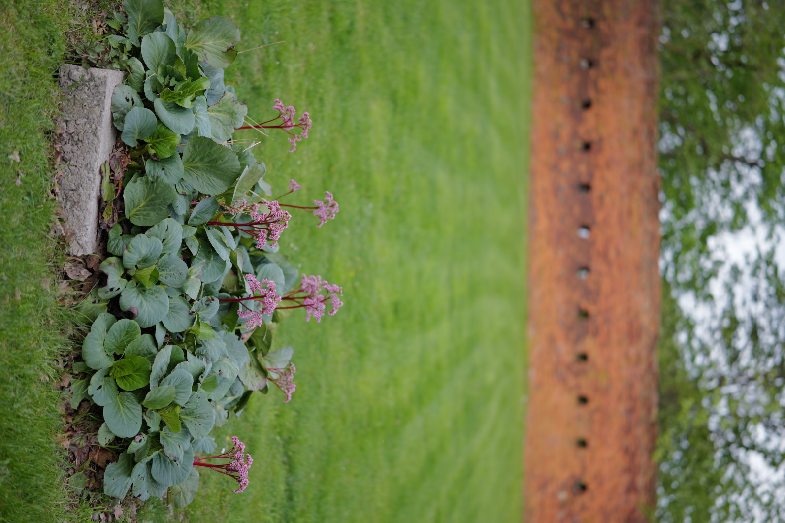 1/500 s, f/1.2, ISO 100, 50.0 mm