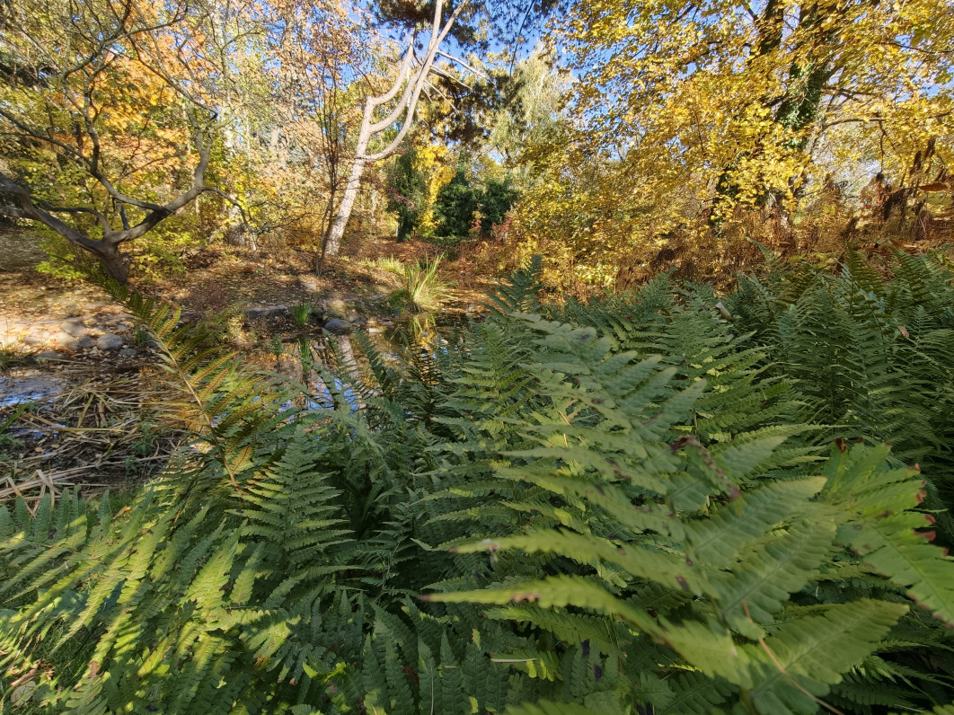 1/200 s, f/2, ISO 200, 2.3 mm