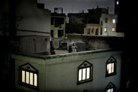 World Press Photo 2010 - znamy zwycięzcę