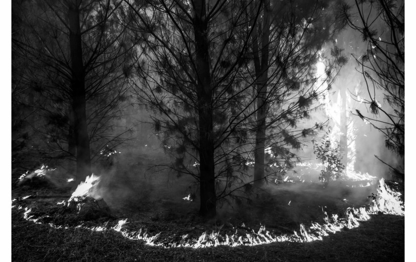 fot. Pablo E. Piovano, Mapuche: The Return of the Ancient Voices, National Geographic, najlepszy projekt długoterminowy w regionie Ameryki Południowej / World Press Photo 2024Społeczności Mapuche to rdzenni mieszkańcy terytoriów, które obecnie należą do Argentyny i Chile. Znaczna część ziemi ich przodków jest obecnie wykorzystywana komercyjnie - pod górnictwo, leśnictwo, projekty hydroelektryczne czy szczelinowanie. Pomimo nowych przepisów, pozornie wspierających prawa Mapuche, dyskryminacja wywodzących się z tej społecznośc aktywistów nie ustaje. Dla wielu Mapuczów nie jest to wyłącznie spór terytorialny: ziemia jest częścią ich kulturowej i duchowej tożsamości. Komercyjna degradacja środowiska narusza zarówno pamięć o przeszłości, jak i równowagę między naturą a ludzkim zdrowiem. Jury doceniło głębszy wgląd tej historii w światopogląd rdzennych mieszkańców w ramach ich walki z rządami i przemysłem wydobywczym.