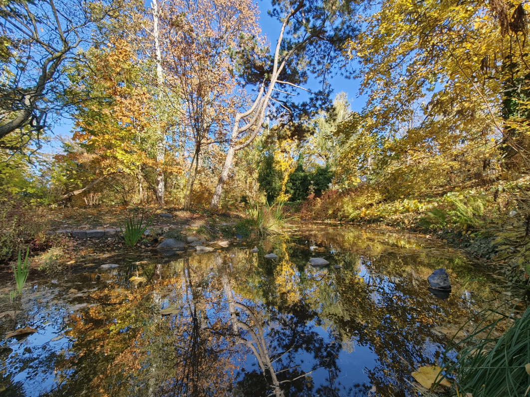 1/200 s, f/2, ISO 200, 2.3 mm