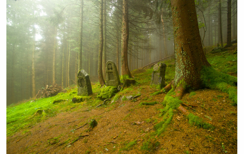 Michael St Maur Sheil, Rabenbuhl Friedhof - 1915 niemiecki cmentarz pierwszej wojny światowej - Tête des Faux w Vosges Mountains we wschodniej Francji. (2009)