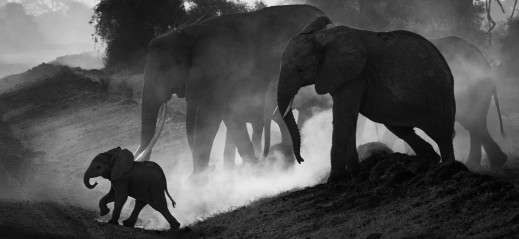 Sony World Photography Awards 2022 - najlepsze zdjęcia z sekcji Open. Polacy wśród wyróżnionych