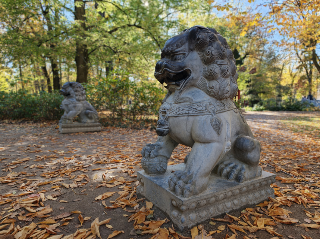 1/1270 s, f/3.5, ISO 640, 6.8 mm