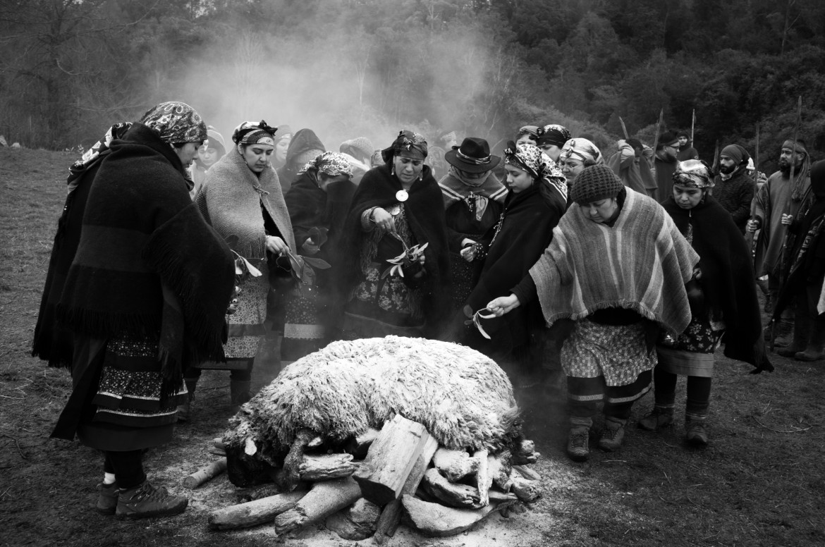 fot. Pablo E. Piovano, "Mapuche: The Return of the Ancient Voices", National Geographic, najlepszy projekt długoterminowy w regionie Ameryki Południowej / World Press Photo 2024<br></br><br></br>Społeczności Mapuche to rdzenni mieszkańcy terytoriów, które obecnie należą do Argentyny i Chile. Znaczna część ziemi ich przodków jest obecnie wykorzystywana komercyjnie - pod górnictwo, leśnictwo, projekty hydroelektryczne czy szczelinowanie. Pomimo nowych przepisów, pozornie wspierających prawa Mapuche, dyskryminacja wywodzących się z tej społecznośc aktywistów nie ustaje. Dla wielu Mapuczów nie jest to wyłącznie spór terytorialny: ziemia jest częścią ich kulturowej i duchowej tożsamości. Komercyjna degradacja środowiska narusza zarówno pamięć o przeszłości, jak i równowagę między naturą a ludzkim zdrowiem. Jury doceniło głębszy wgląd tej historii w światopogląd rdzennych mieszkańców w ramach ich walki z rządami i przemysłem wydobywczym.