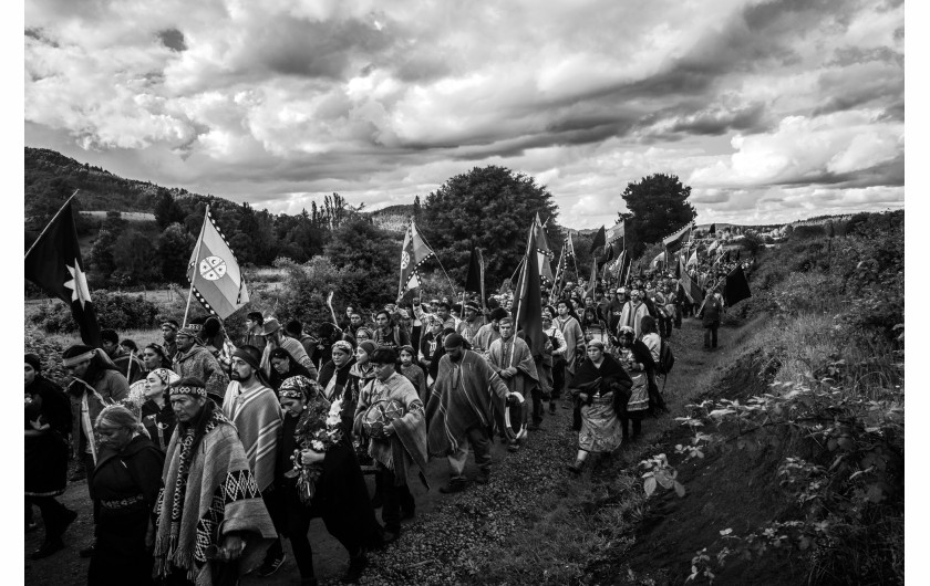 fot. Pablo E. Piovano, Mapuche: The Return of the Ancient Voices, National Geographic, najlepszy projekt długoterminowy w regionie Ameryki Południowej / World Press Photo 2024Społeczności Mapuche to rdzenni mieszkańcy terytoriów, które obecnie należą do Argentyny i Chile. Znaczna część ziemi ich przodków jest obecnie wykorzystywana komercyjnie - pod górnictwo, leśnictwo, projekty hydroelektryczne czy szczelinowanie. Pomimo nowych przepisów, pozornie wspierających prawa Mapuche, dyskryminacja wywodzących się z tej społecznośc aktywistów nie ustaje. Dla wielu Mapuczów nie jest to wyłącznie spór terytorialny: ziemia jest częścią ich kulturowej i duchowej tożsamości. Komercyjna degradacja środowiska narusza zarówno pamięć o przeszłości, jak i równowagę między naturą a ludzkim zdrowiem. Jury doceniło głębszy wgląd tej historii w światopogląd rdzennych mieszkańców w ramach ich walki z rządami i przemysłem wydobywczym.