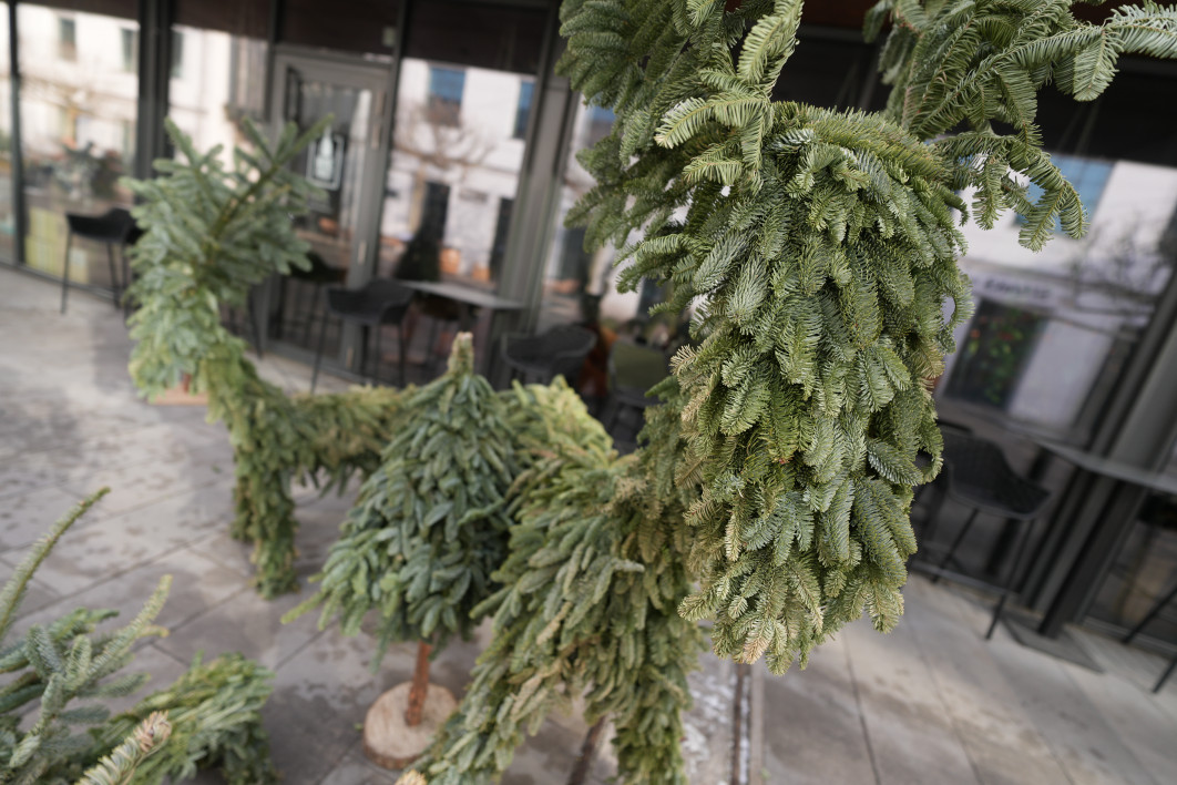 1/320 s, f/1.8, ISO 100, 16.0 mm