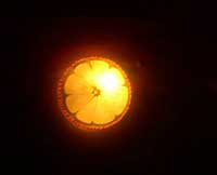 Cytrynowe atrakcje
