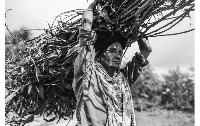 Kobieta znosi drewno z okolicznych lasów. Jest to częsta przyczyna konfliktów z miejscowymi, ponieważ tysiące uchodźców karczują lasy zbierając materiał na opał i do budowy schronień. Obóz Kutupalong (Bangladesz), październik 2013.