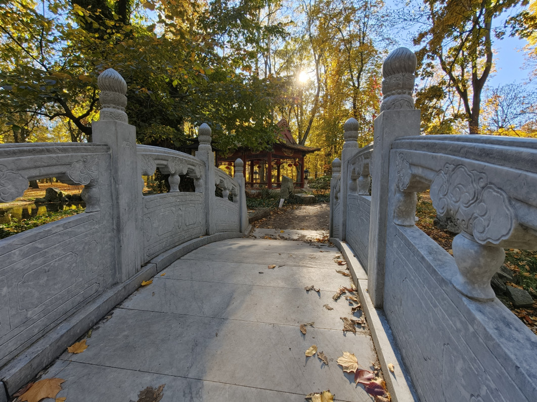 1/200 s, f/2, ISO 160, 2.3 mm