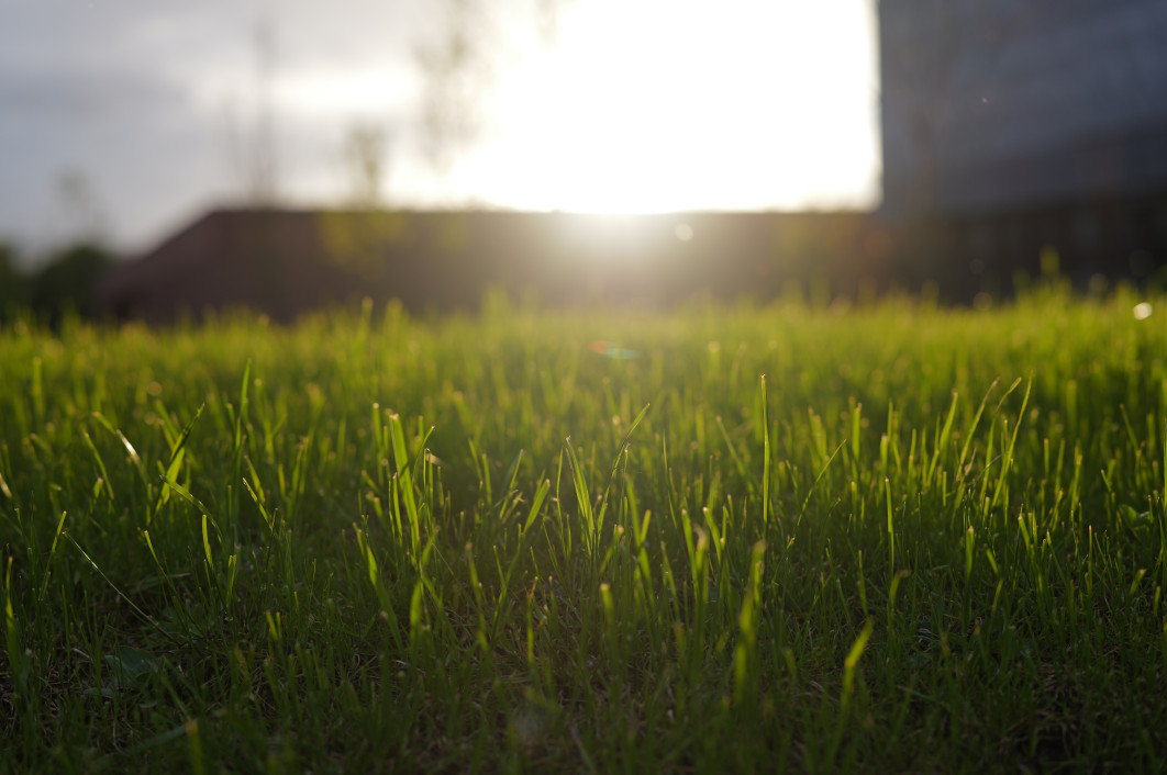 1/1000 s, f/2.2, ISO 100, 50.0 mm