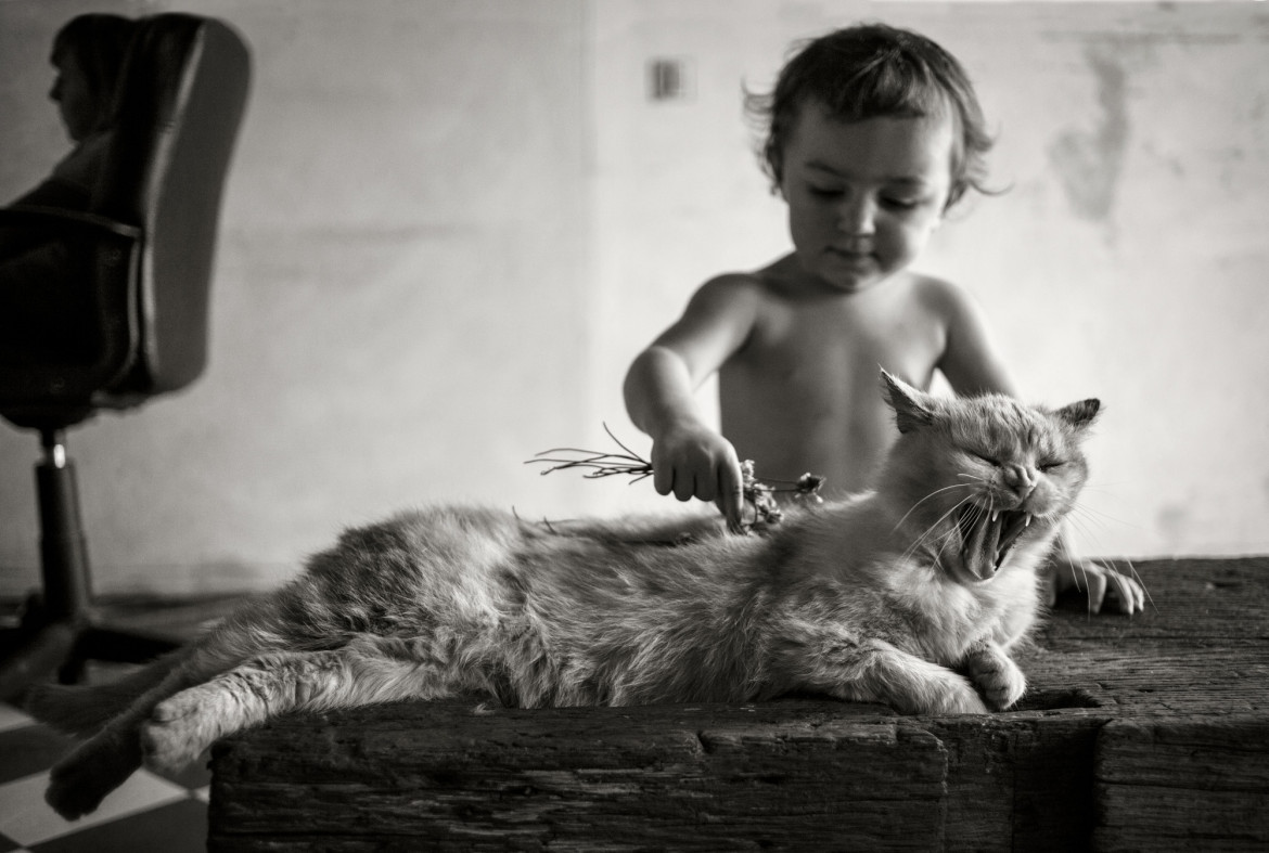 fot. Alain Laboile