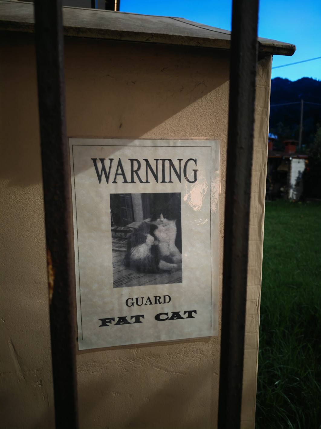 1/10 s, f/1.9, ISO 12800, aparat główny