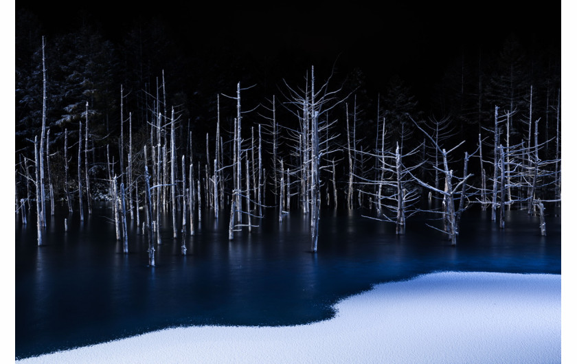 fot. Hiroshi Tanita, nominacja w kategorii Nature kategorii Open