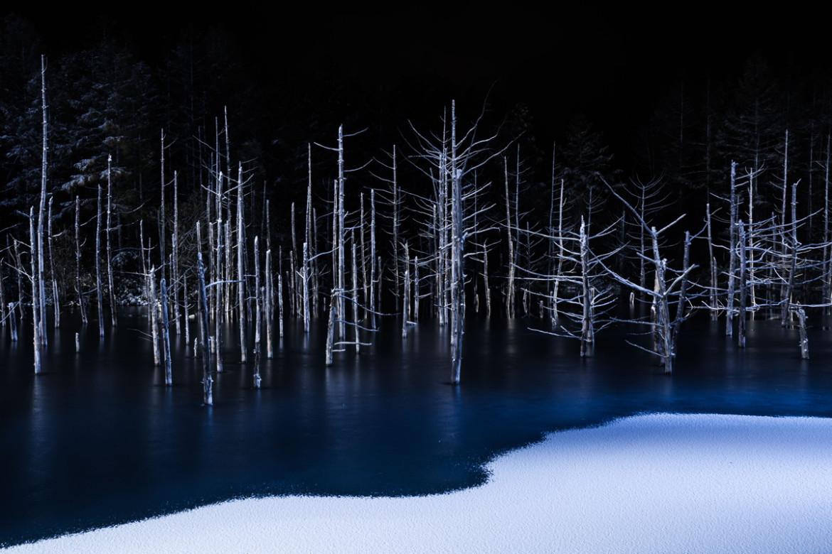 fot. Hiroshi Tanita, nominacja w kategorii "Nature" kategorii Open