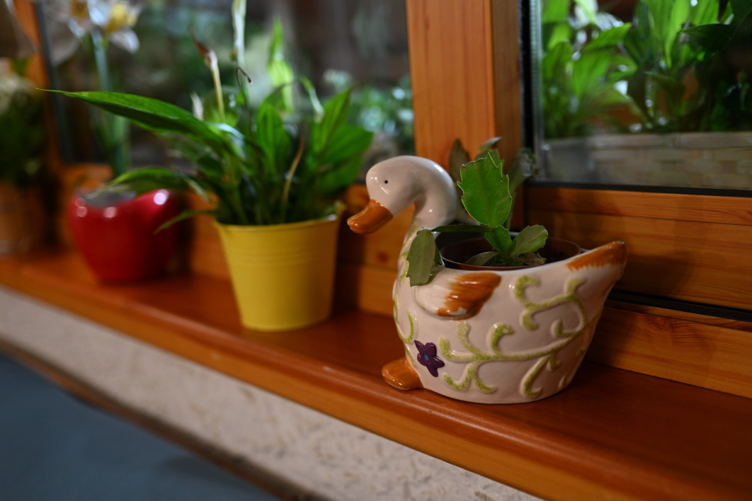 1/40 s, f/1.8, ISO 800, 35.0 mm